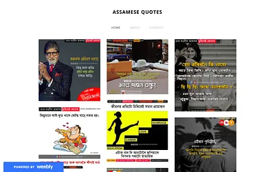assamesequote.weebly.com snapshot