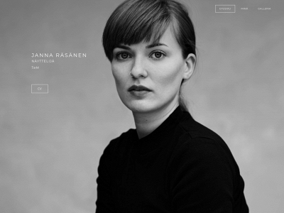 www.jannarasanen.com snapshot
