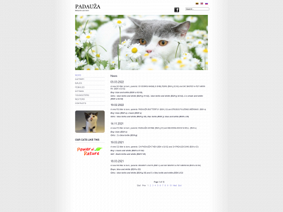 padauzacat.com snapshot