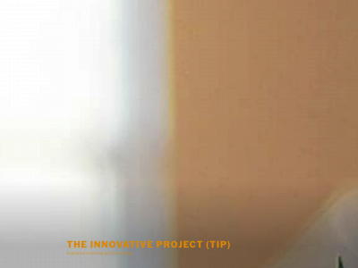 tipcoaching.org snapshot