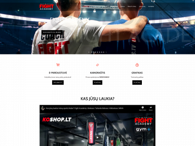 fightacademy.lt snapshot