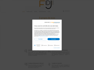 fidjconsulting.com snapshot