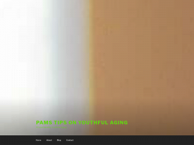 pamstipsonfitandhealthyaging.com snapshot