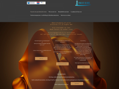 plusestenvous.nl snapshot