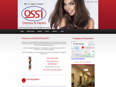 ossi-hairstyling.com snapshot