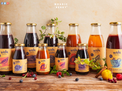 nordic-berry.lt snapshot