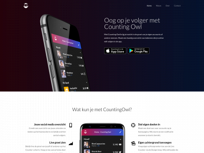 countingowl.com snapshot