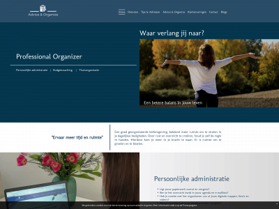 adviceandorganize.nl snapshot