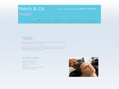 feschundcomobil.com snapshot