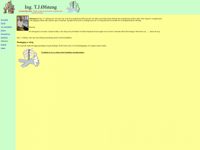 ofsteng.no snapshot