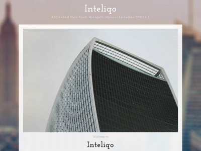 inteliqo.net snapshot