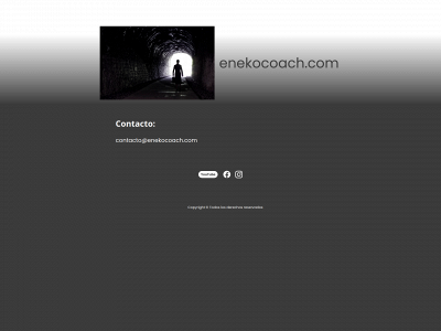 enekocoach.com snapshot