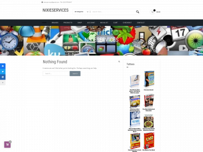 nixieservices.com snapshot