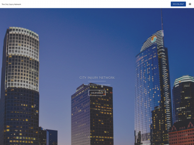 cityinjurynetwork.com snapshot