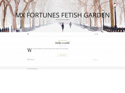 findingmissfortune.com snapshot