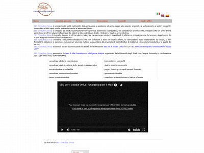 sbsconsultingroup.com snapshot