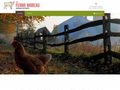 fermemoreau.com snapshot