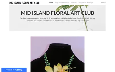 mifac.weebly.com snapshot