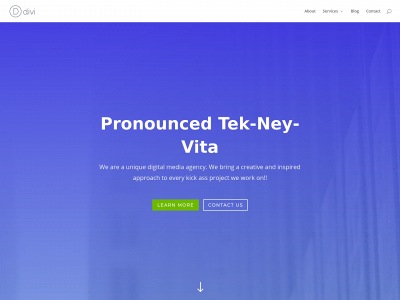 technevita.com snapshot