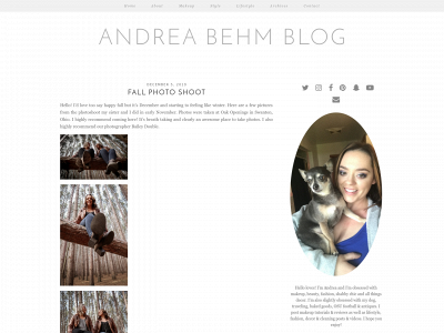 andreabehmblog.com snapshot