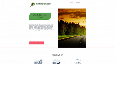 themetrcfairy.com snapshot