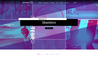 skatebro.com snapshot