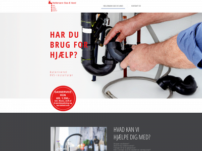 nellemanngasogvand.dk snapshot