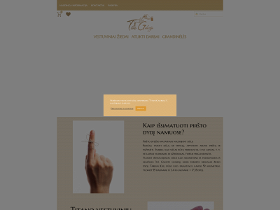 titanogalerija.lt snapshot