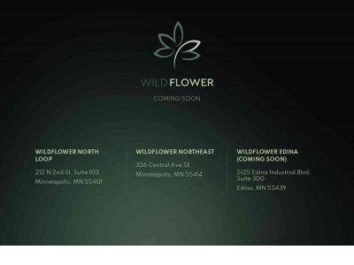 www.wildflower.cc snapshot