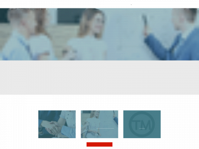 evolvementgroup.com snapshot
