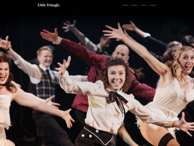 littletriangle.com.au snapshot