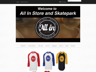 www.allinactionsports.com snapshot