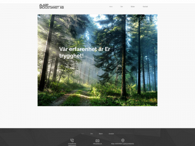 alarp.se snapshot