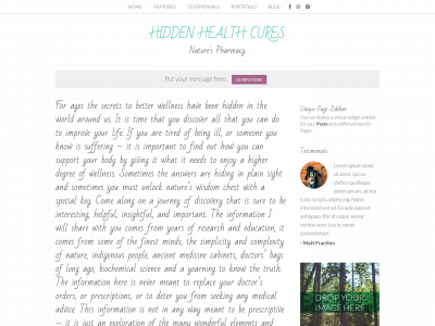 hiddenhealthcures.com snapshot