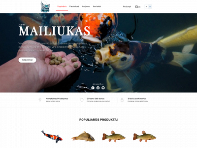 mailiukas.com snapshot