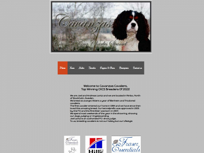 cavanzas.se snapshot