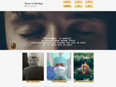 heart-on-healing.be snapshot