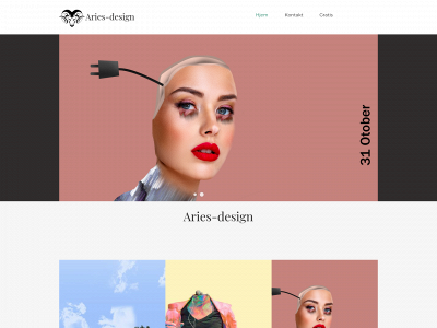 aries-design.dk snapshot