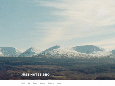 justnotesbro.com snapshot