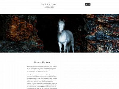 stallkarlsson.se snapshot
