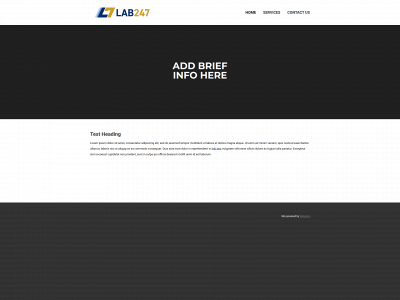 site-cf0a884d4ace.mypreview.site snapshot