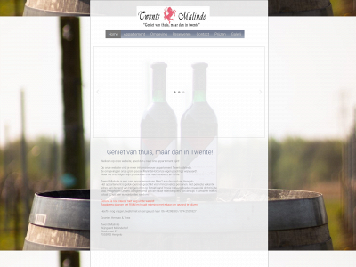 twentsmalinde.nl snapshot