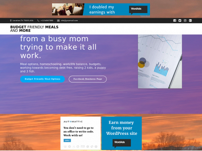 budgetfriendlymealsandmore.com snapshot