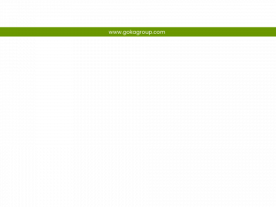 gokagroup.com snapshot