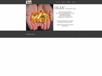 olan.company snapshot