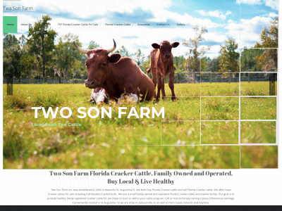twosonfarm.com snapshot
