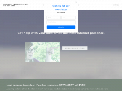 www.businessinternetleads.com snapshot