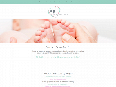 birthcarebynanja.nl snapshot
