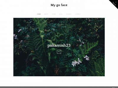 pakamish23.weebly.com snapshot