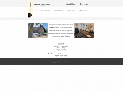 instituutdorine.be snapshot